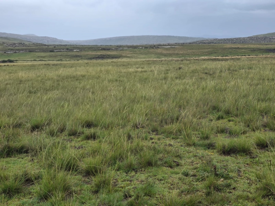 4 Bedroom Property for Sale in Jamestown Eastern Cape